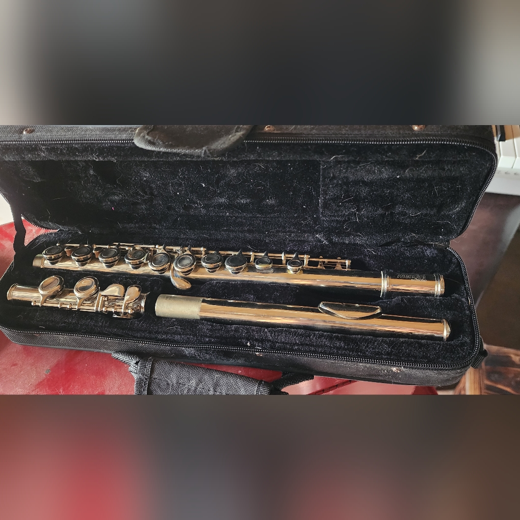 Mendini Flute And Case
